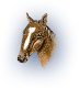 A cavallo
